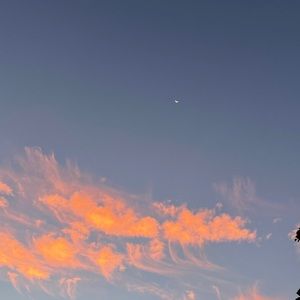 Meet your Posher, Teagan